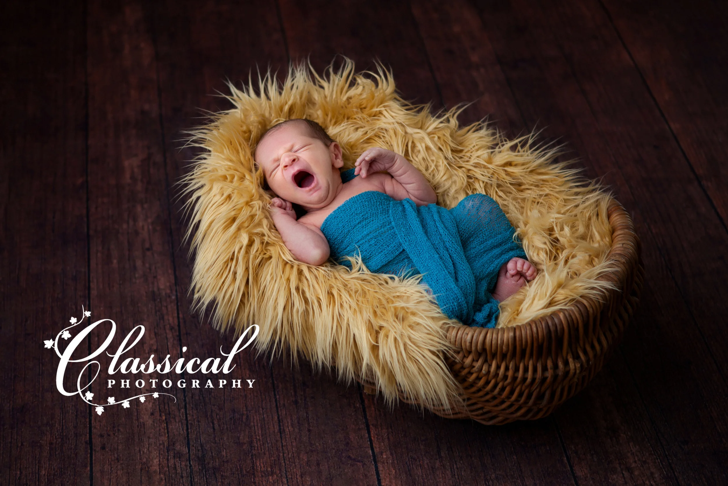 Shealey_Ashley021_E.jpg