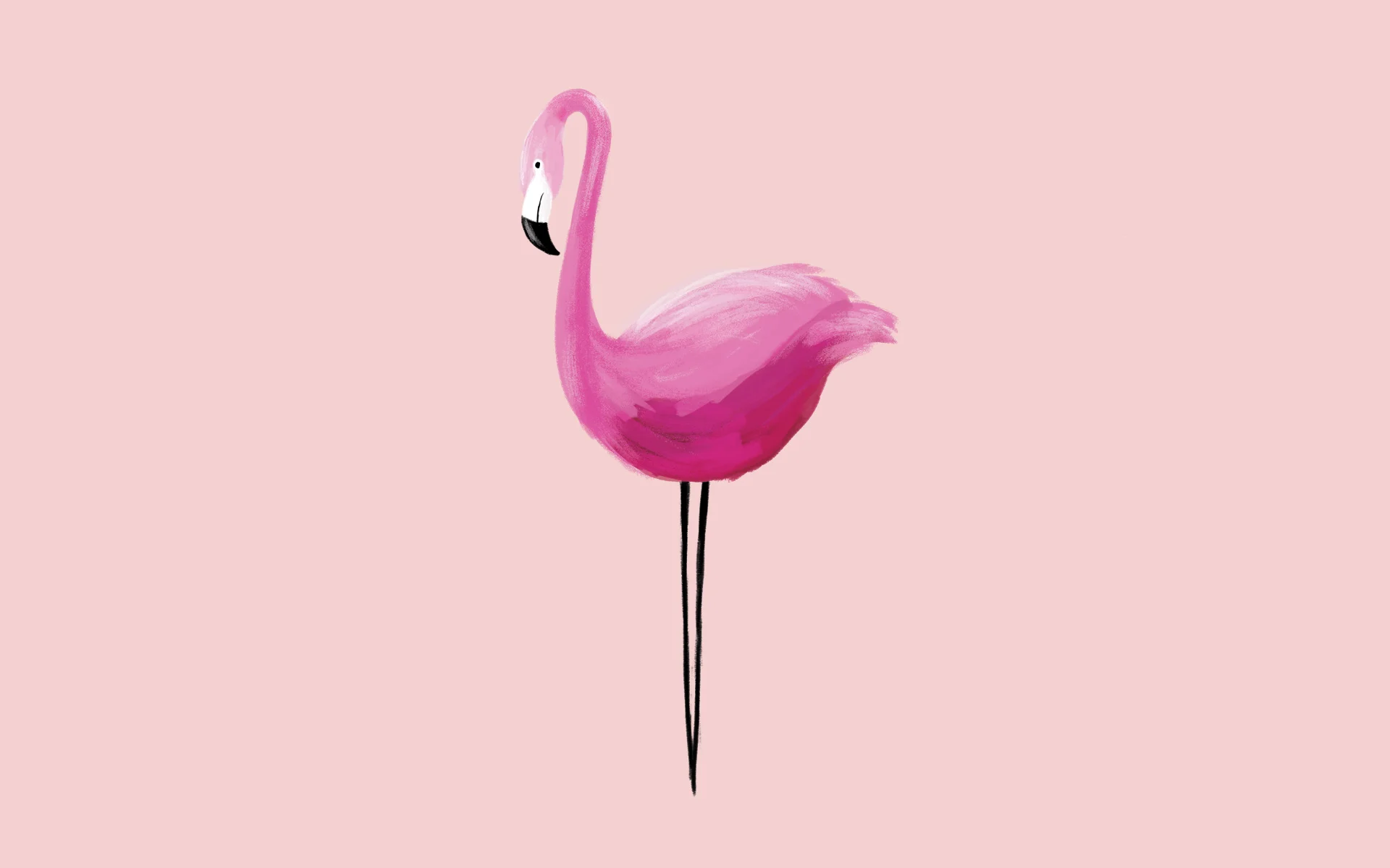 pink flamingo painting