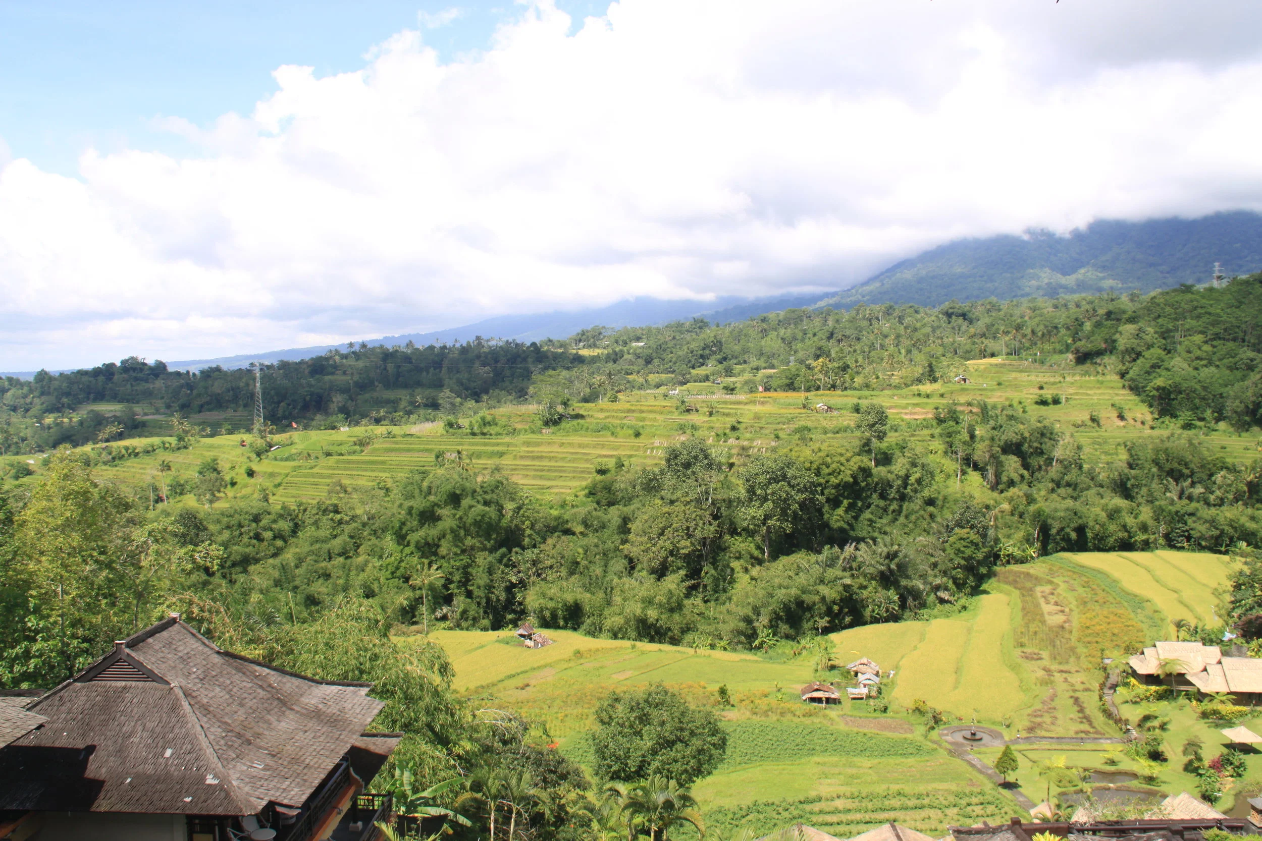Bali Countryside