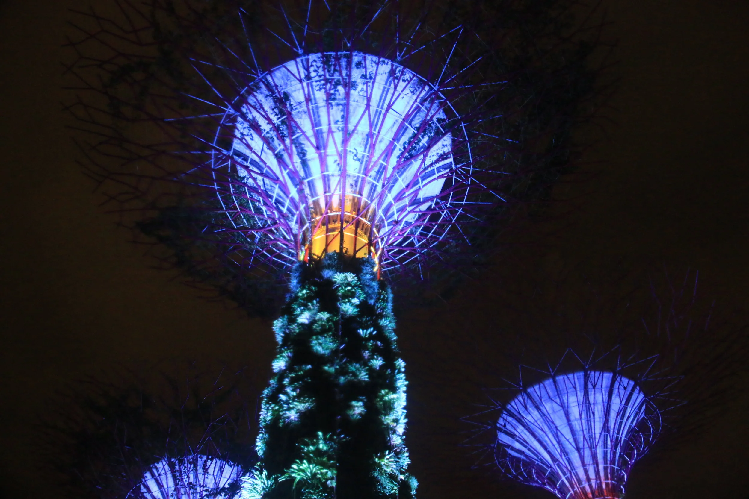 Supertree Grove