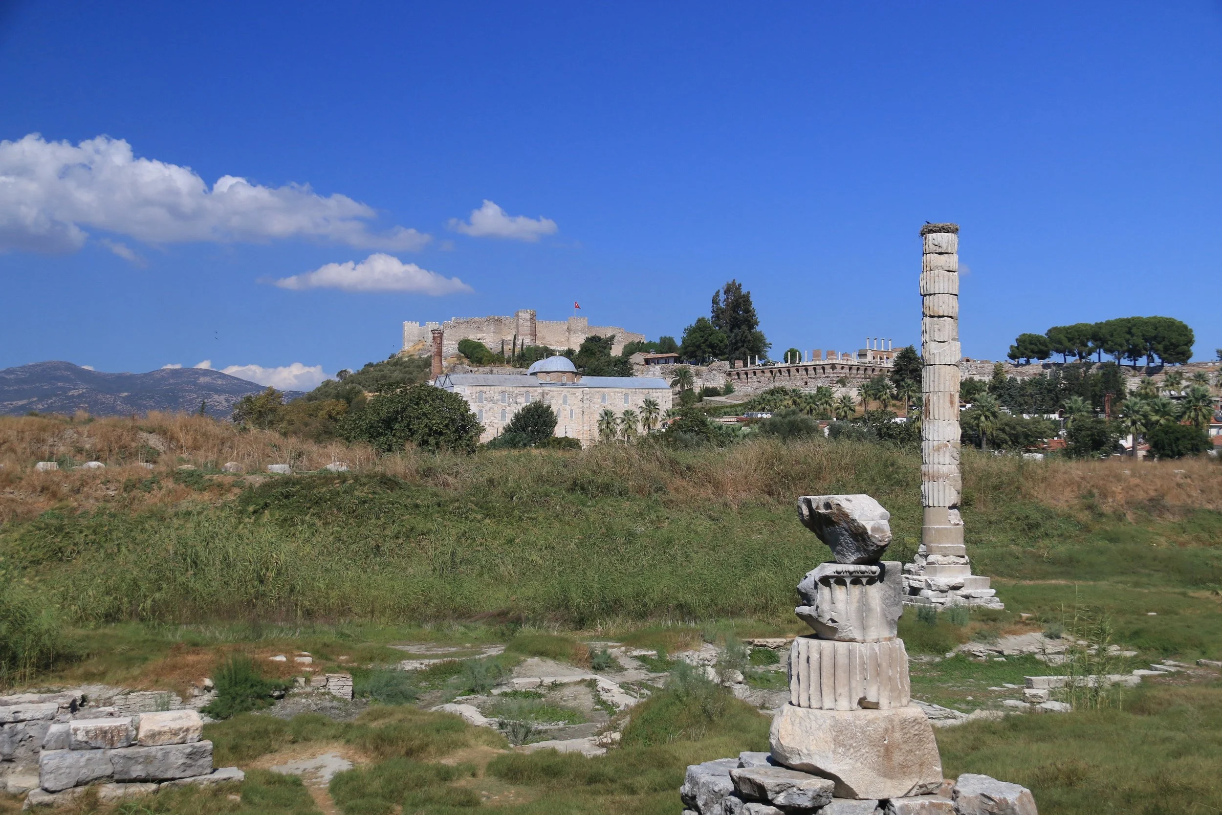2013 | Selçuk | Temple of Artemis