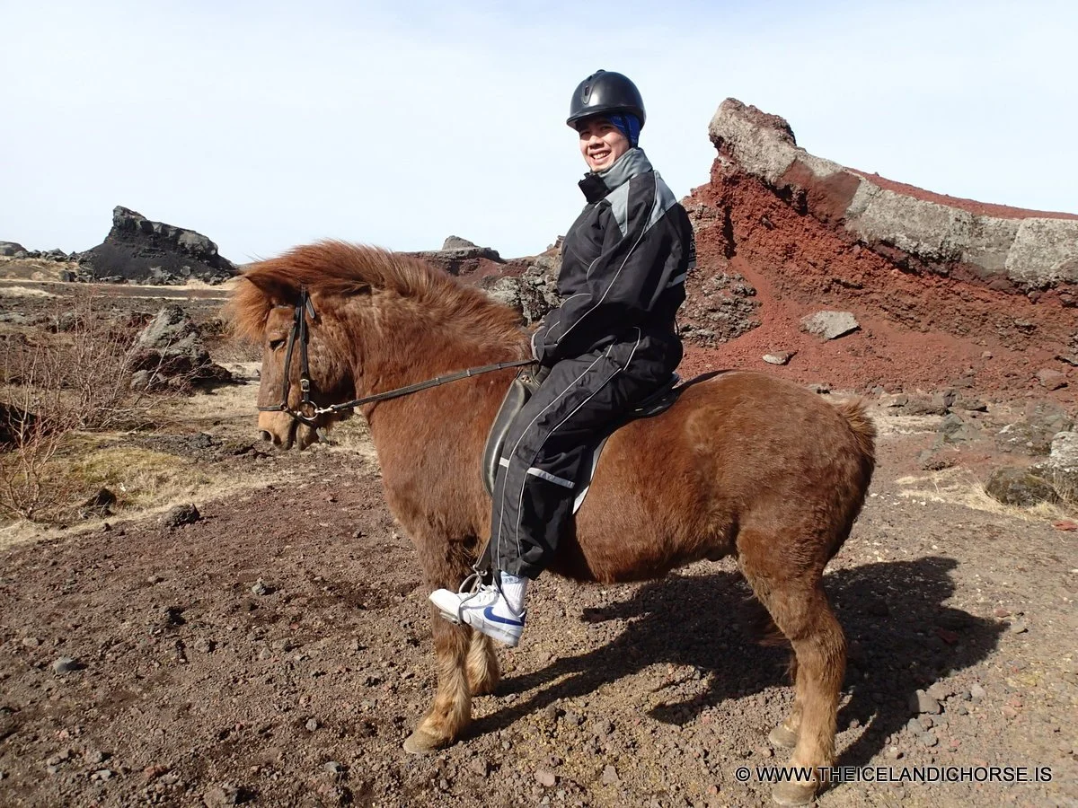 2013 | Iceland