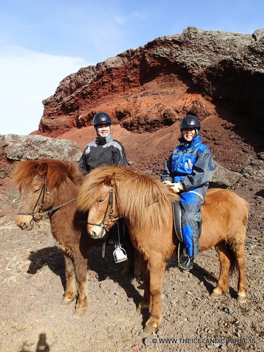 2013 | Iceland