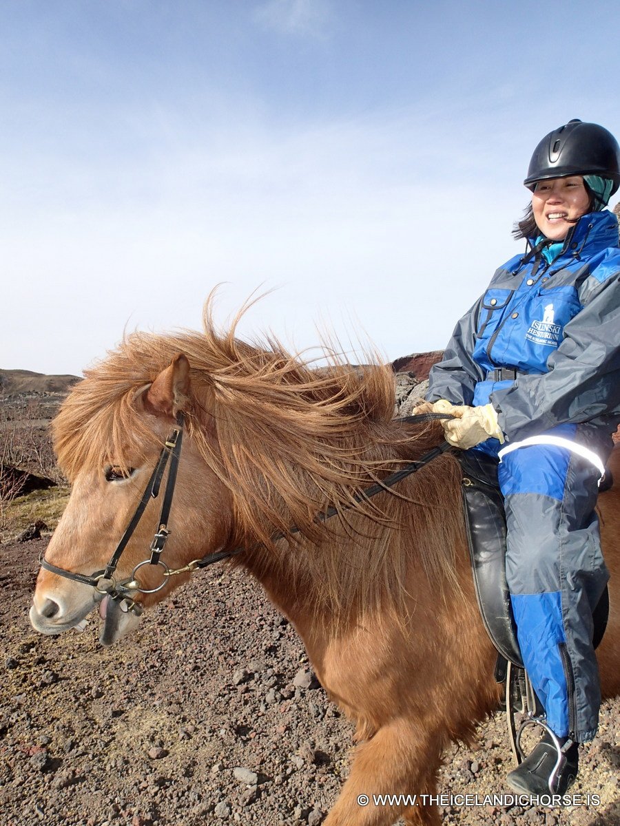 2013 | Iceland