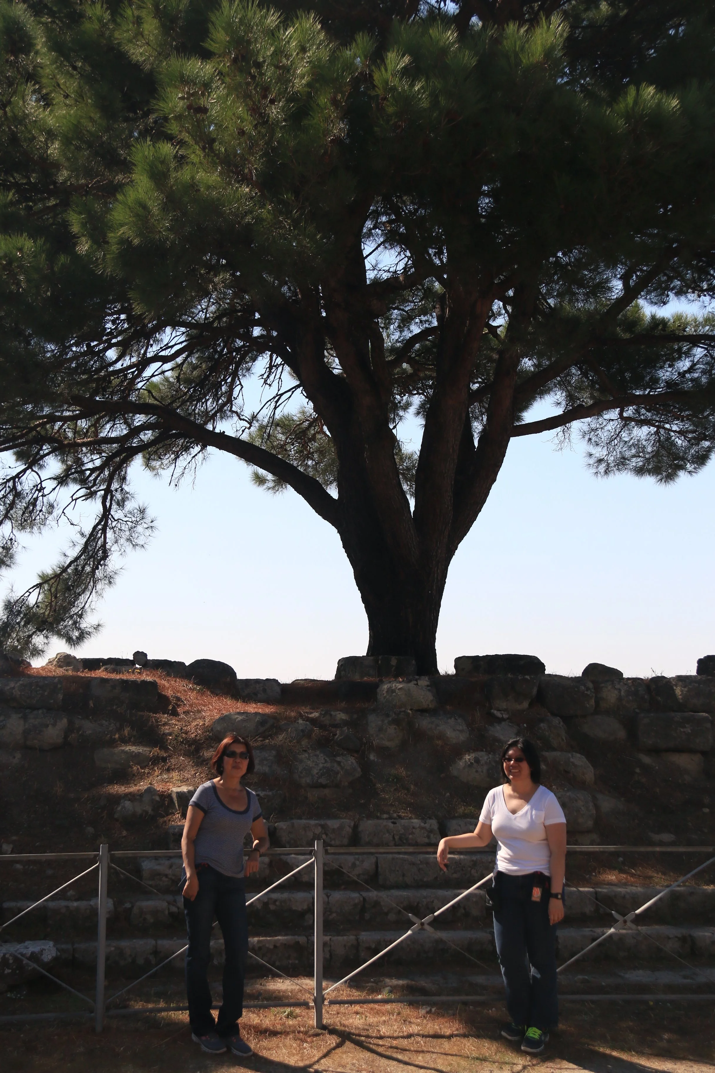 2013 | Turkey | Pergamon