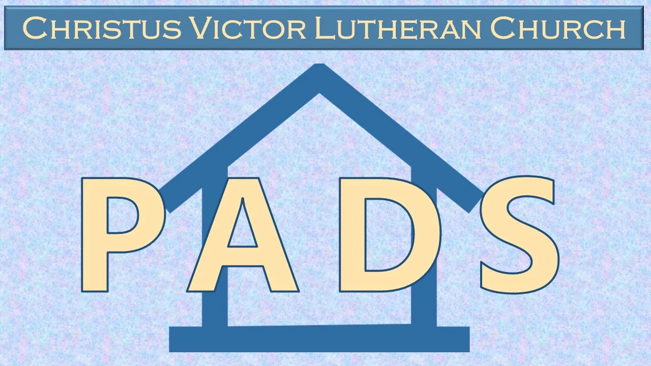 PADS – Ann DeBartolo
