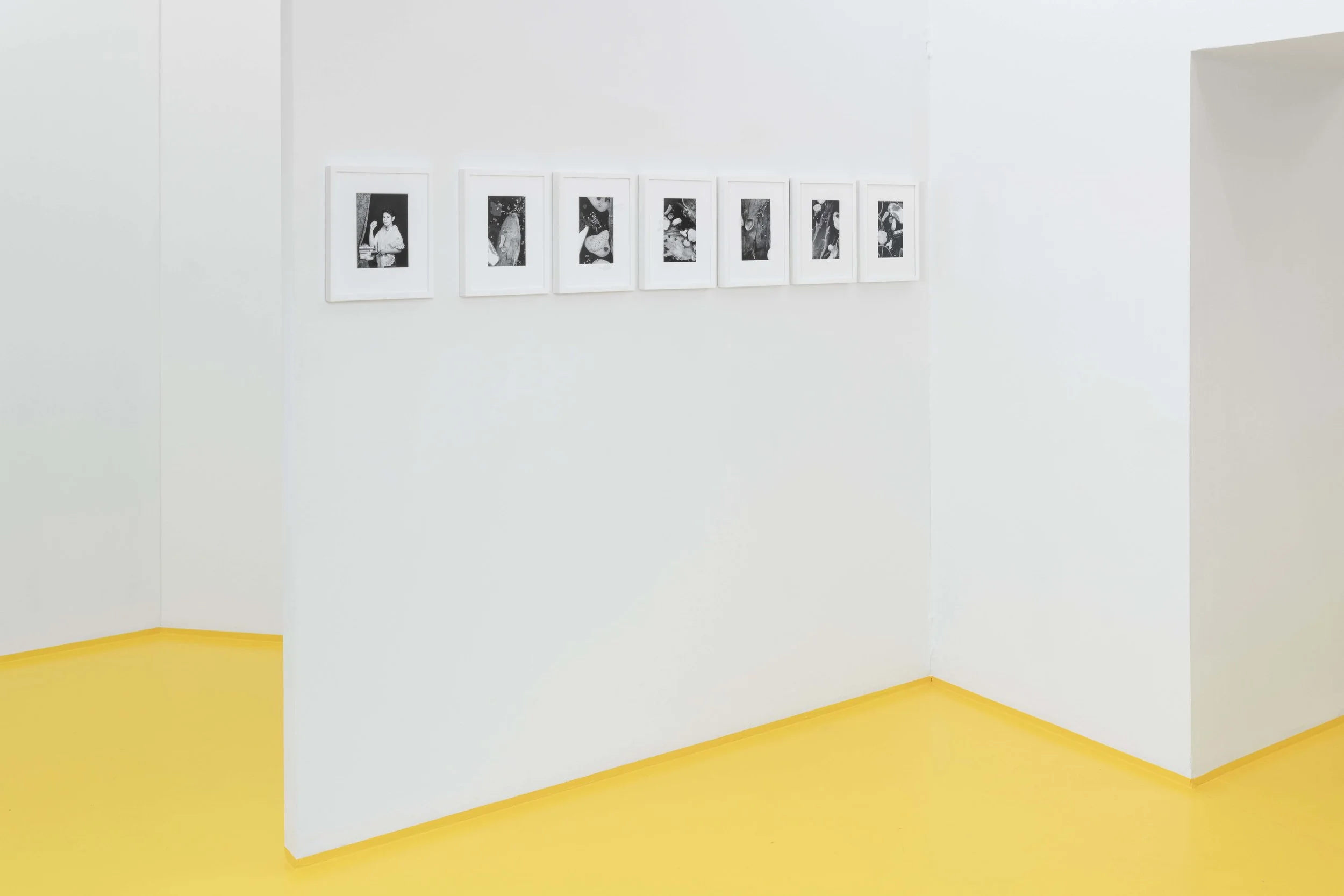 a mestiza and her particles at Vårutstillingen 2019 . Fotogalleriet, Oslo. Photo credit: Istan Virag.