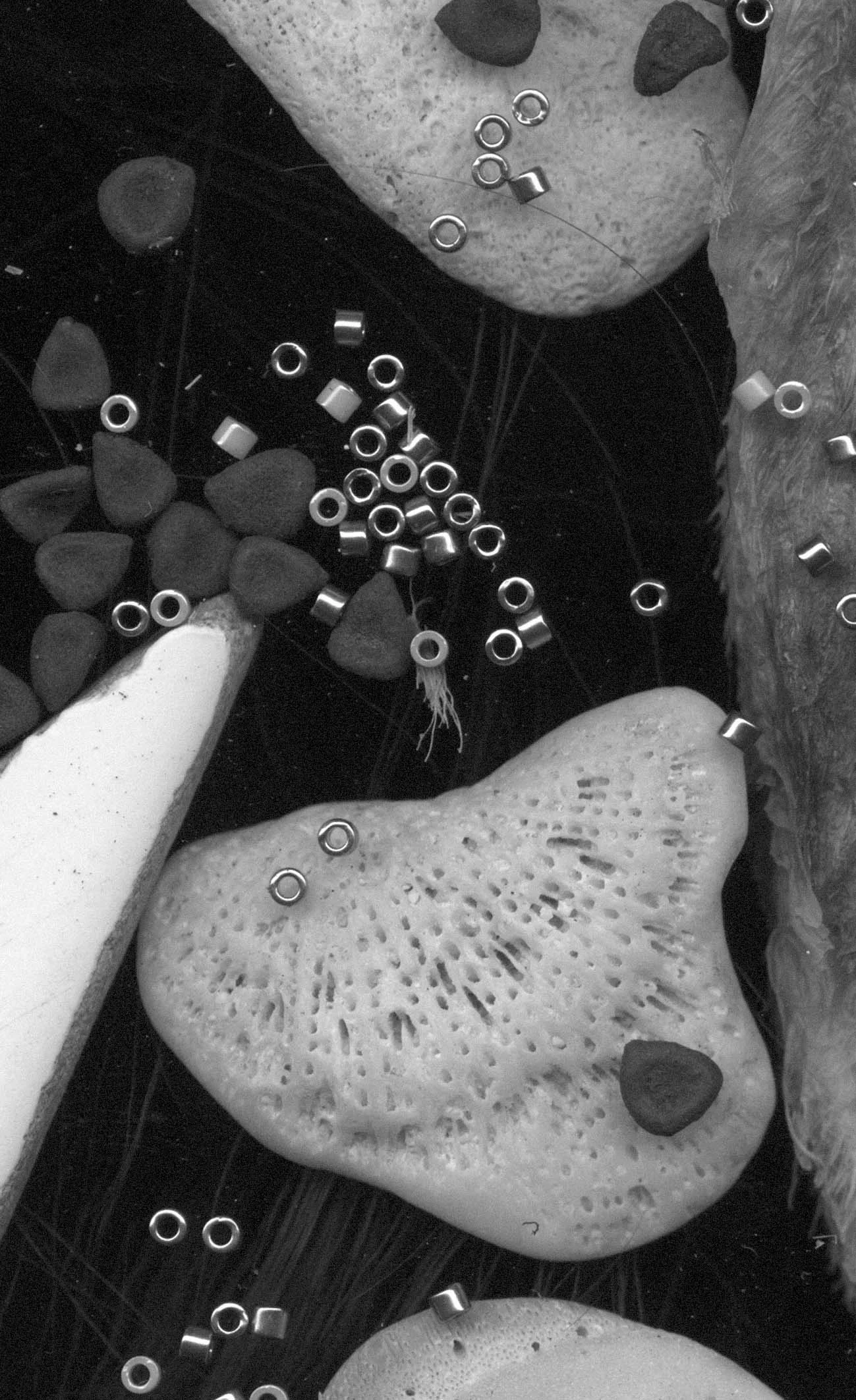 particles (6) 18cm x 11cm print 7 eventually.jpg