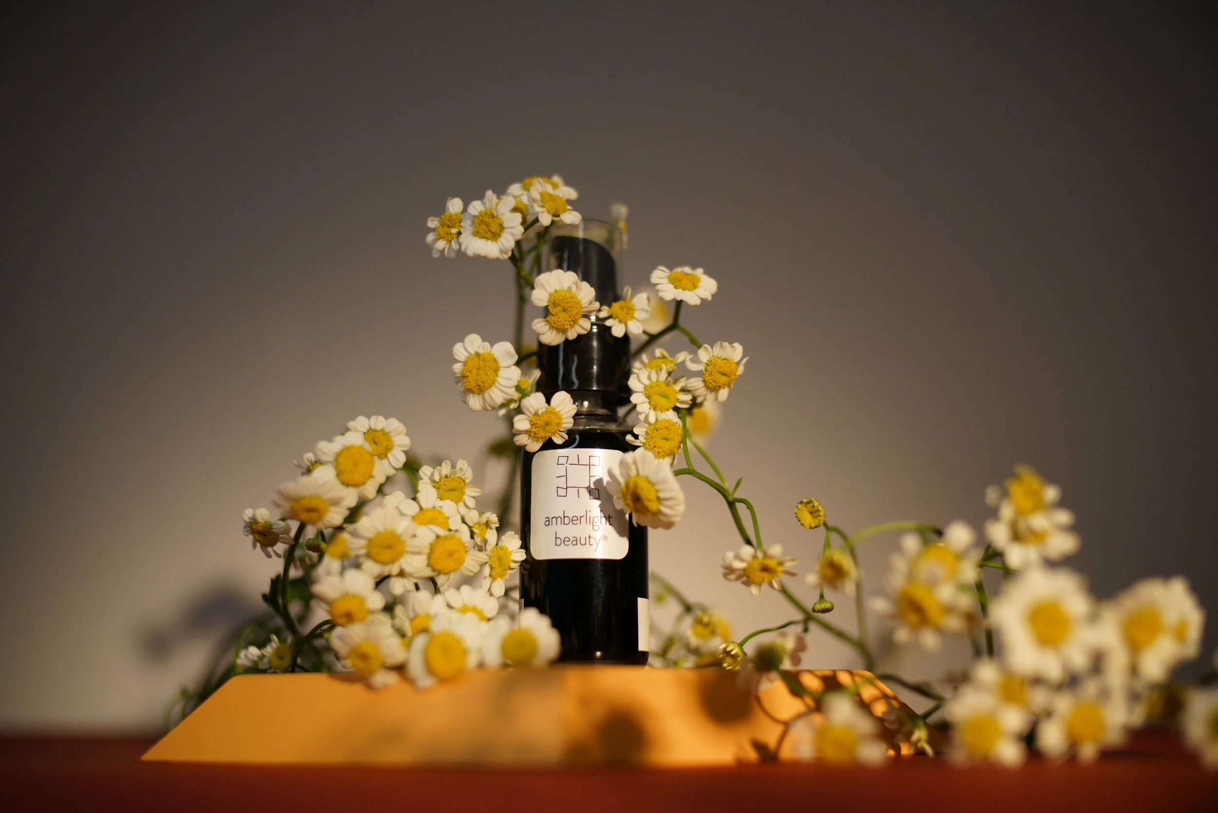 The Neuroscience of Scent: How Fragrance Shapes Mood, Memory &amp; Well-Being