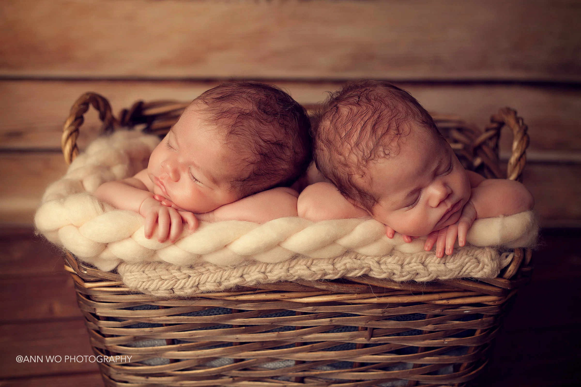 newborn photographer session visit - identical twin sisters, using big basket
