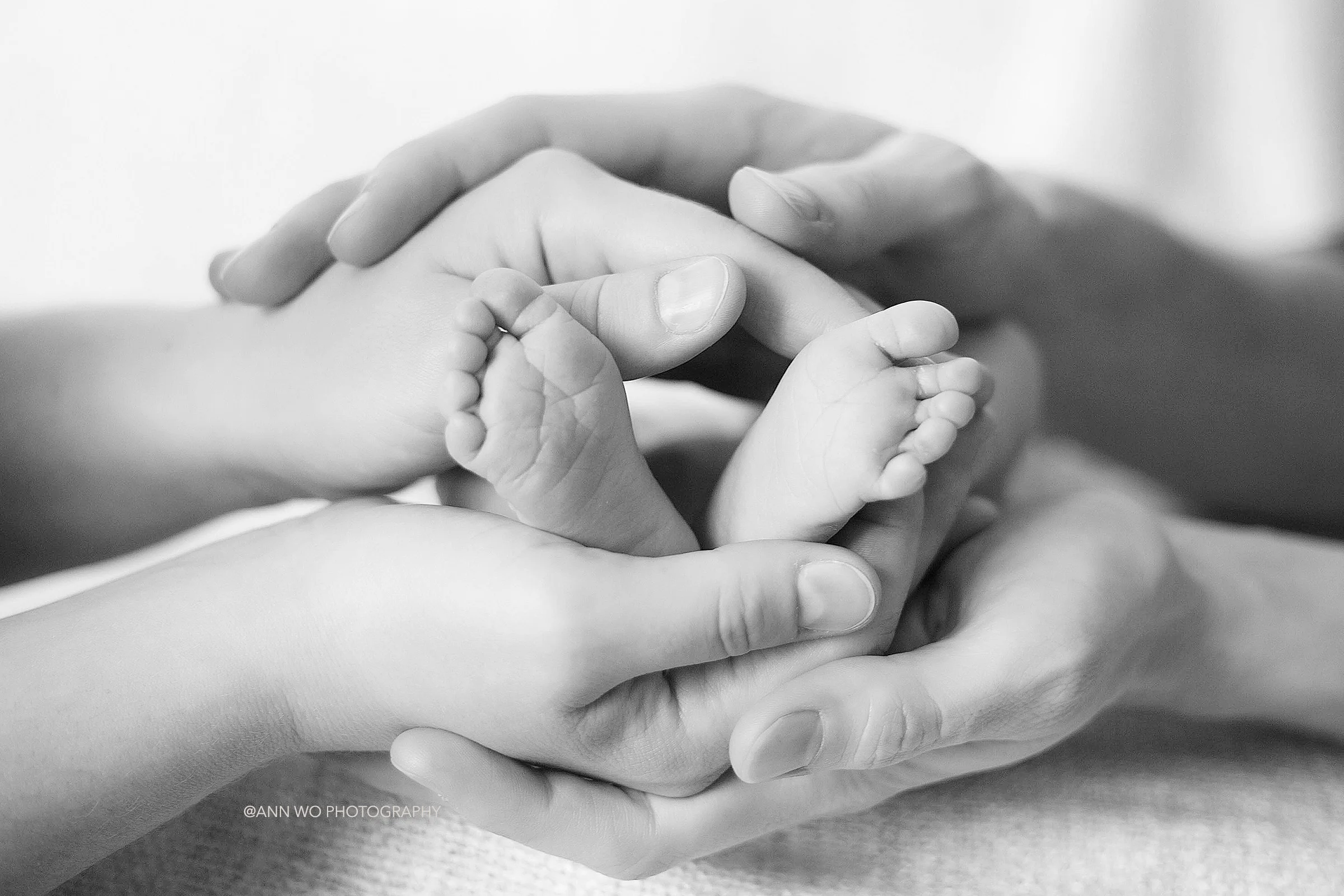 baby feet in parents' hands