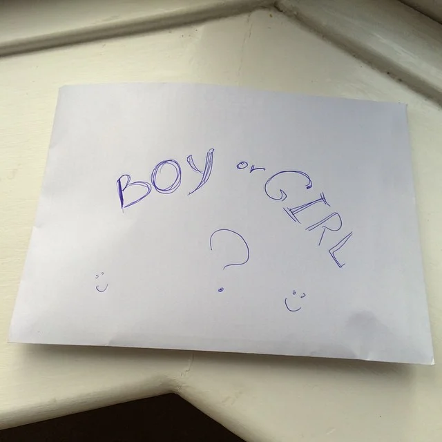 BOY or GIRL??? Today we had a Gender Reveal Photo Session!