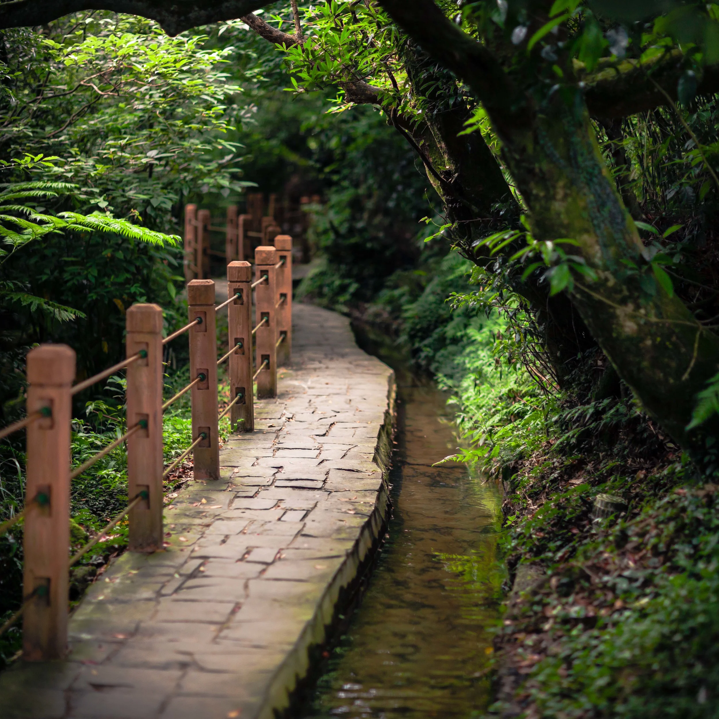 IMG_1739-Edit.jpg