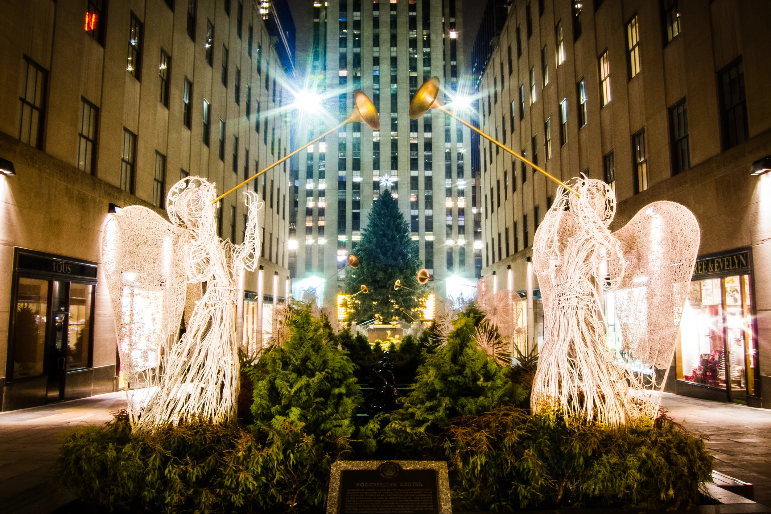 NYC 2010 Christmas-9713.jpg