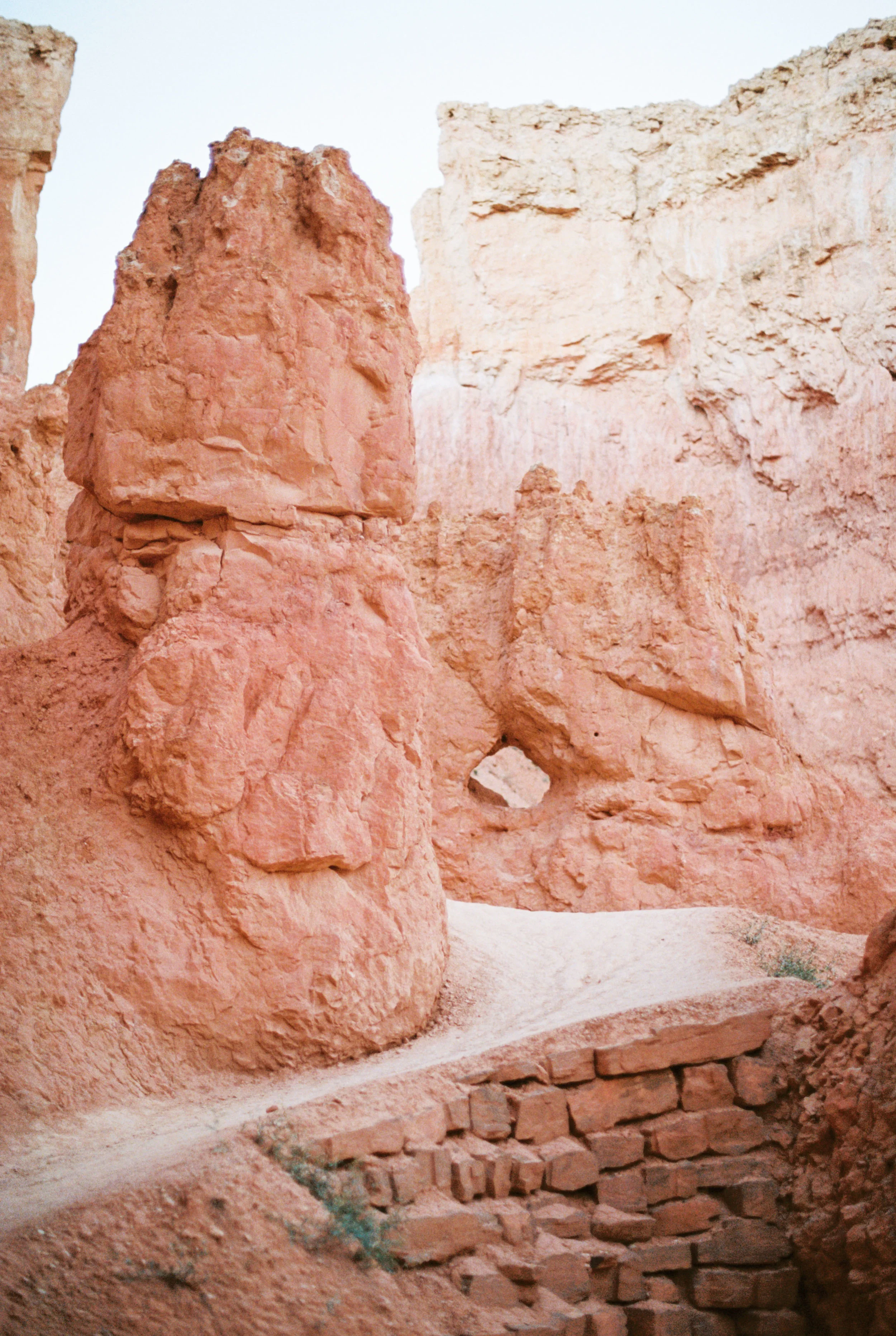 zion-film-web-27.jpg