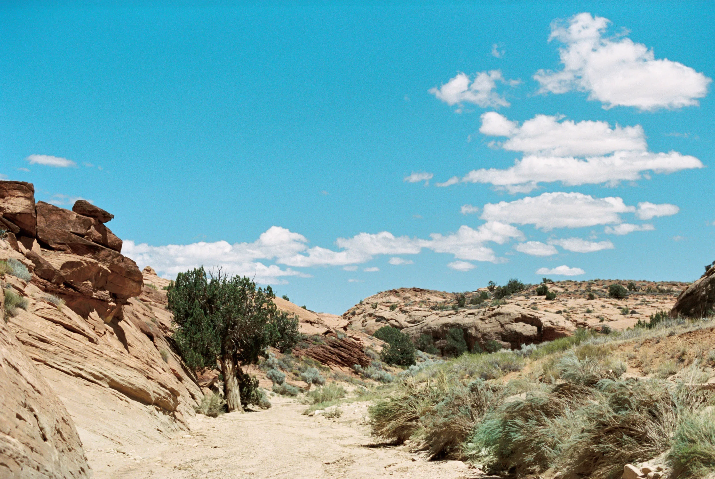 zion-film-web-4.jpg