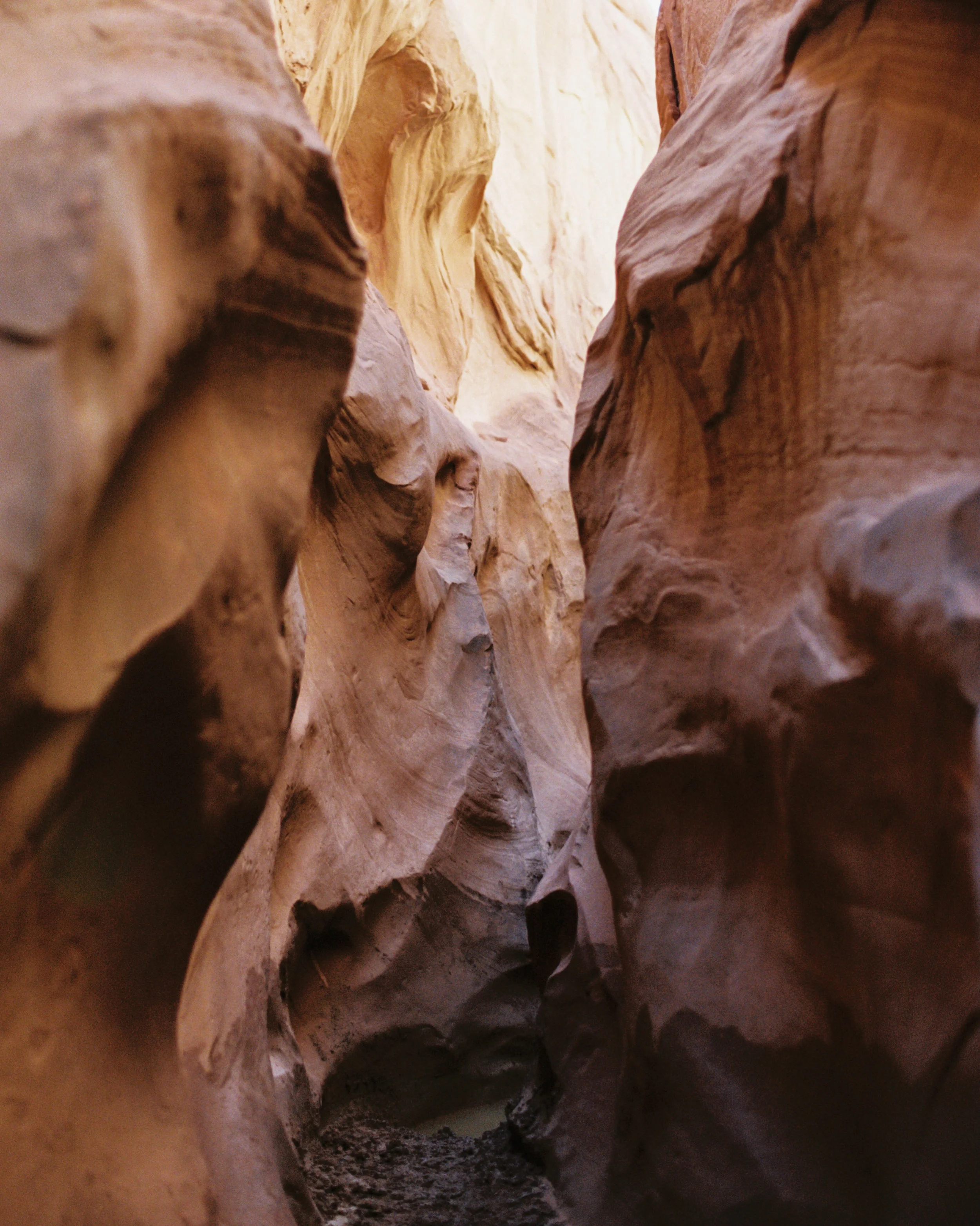 zion-film-web-35.jpg