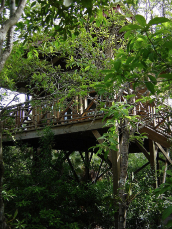 Treehouse. 12 feet above the ground!