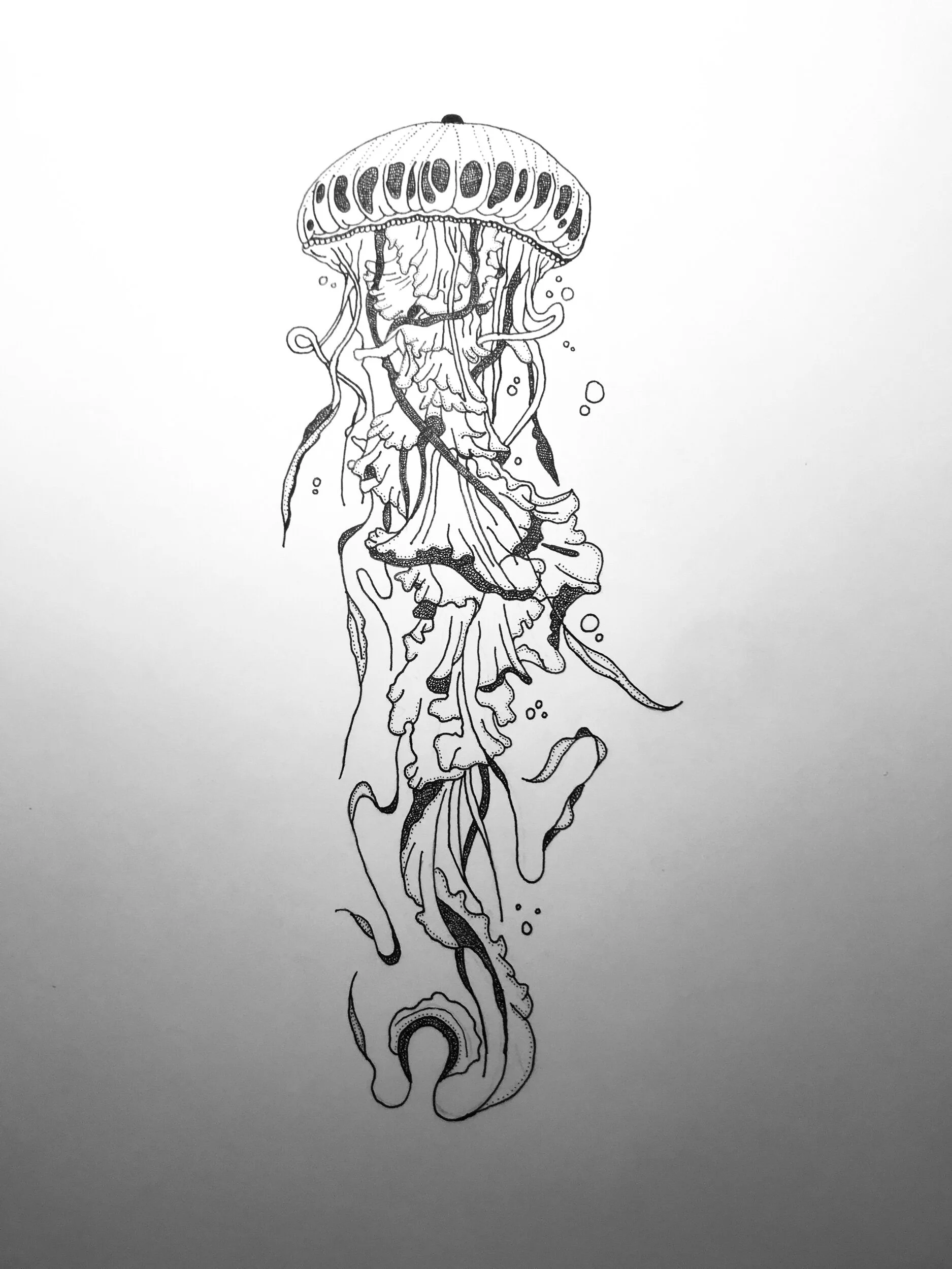 A48459A8-5BDF-4A4E-ACD0-B094C103B239