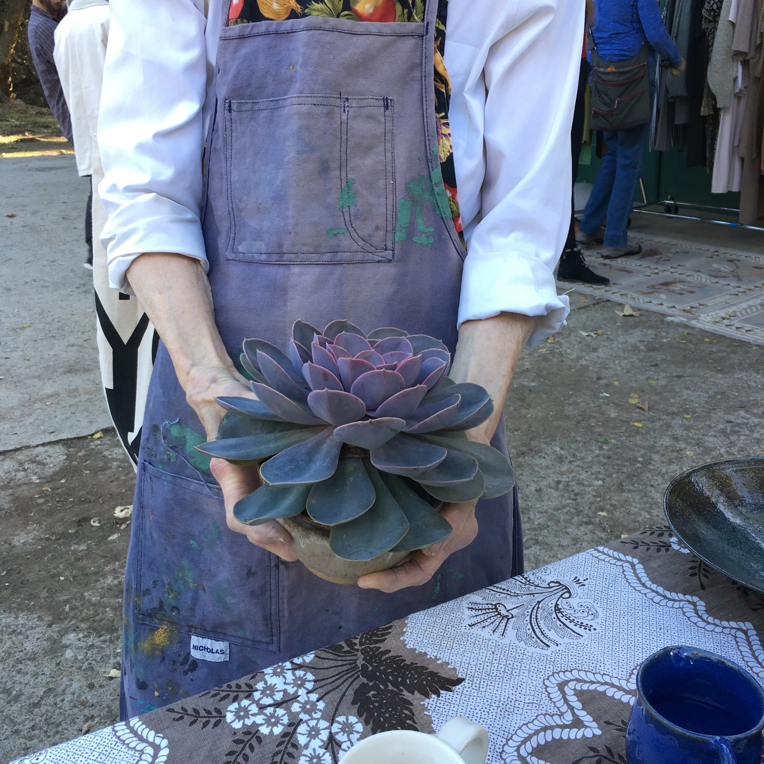An artist in a purple  apron with green paint  holds a purple/green succulent.