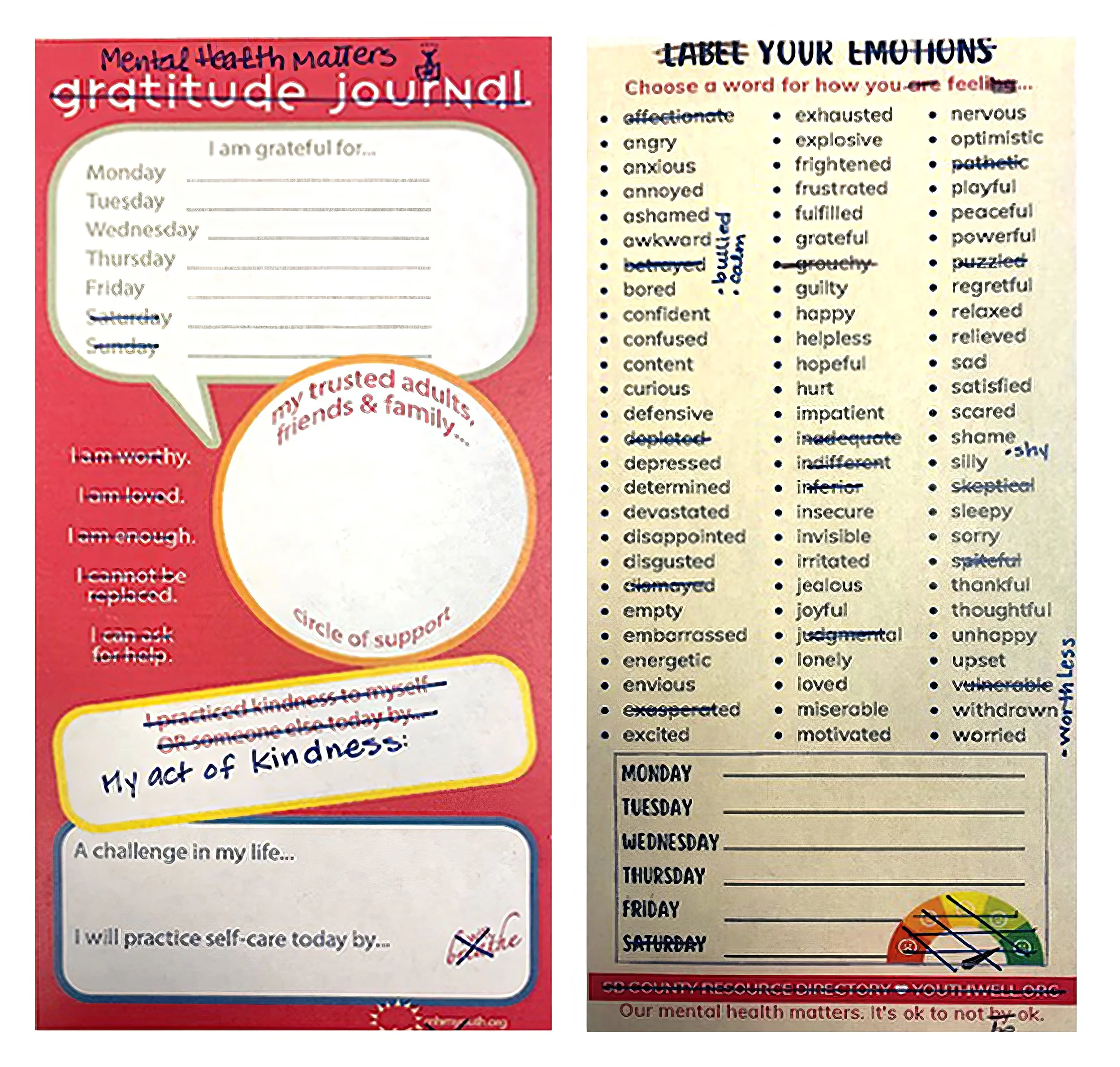 Original Gratitude Journal