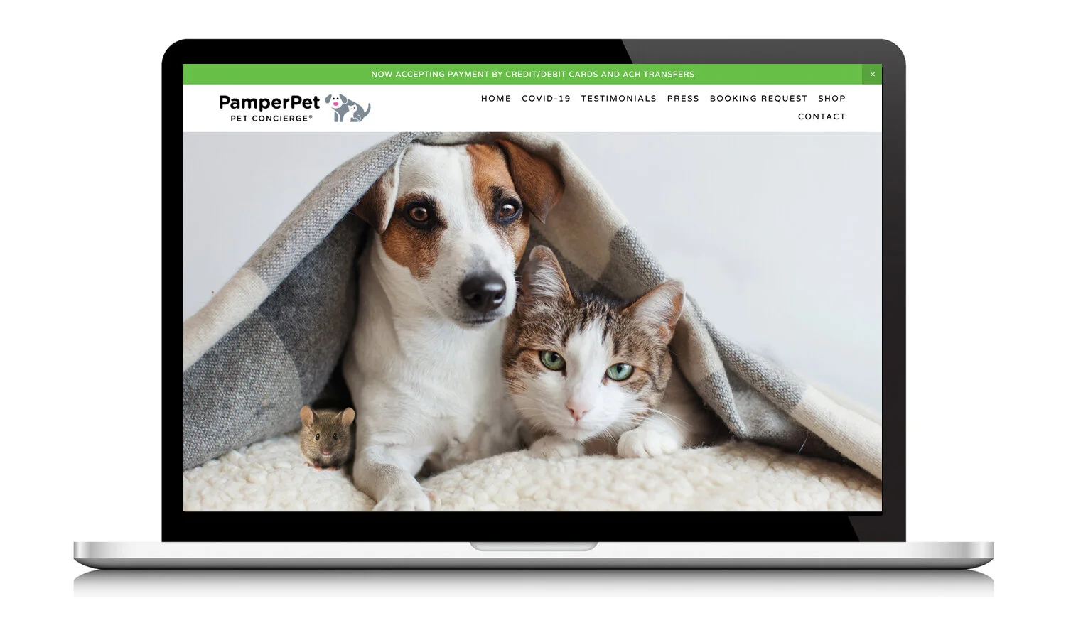 PamperPet Identity & Website