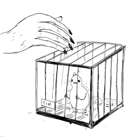 Poor Tim - Unpublished