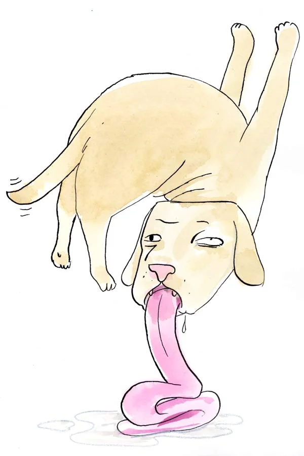 Pet Tricks 2 - Unpublished