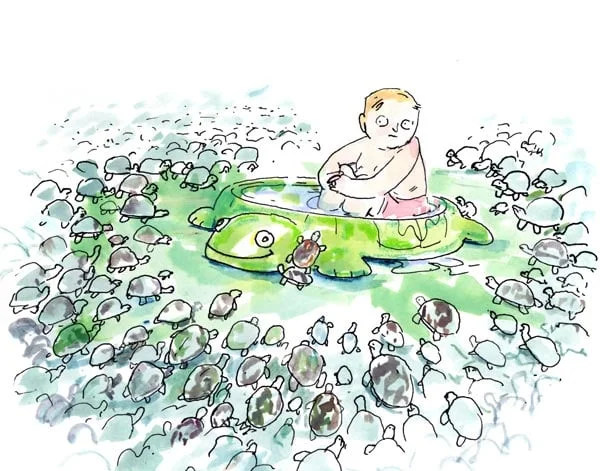 Turtle Pool - Unpublished