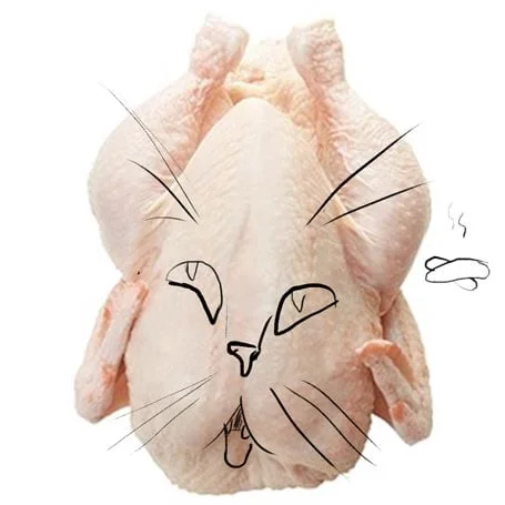 chicken.jpg