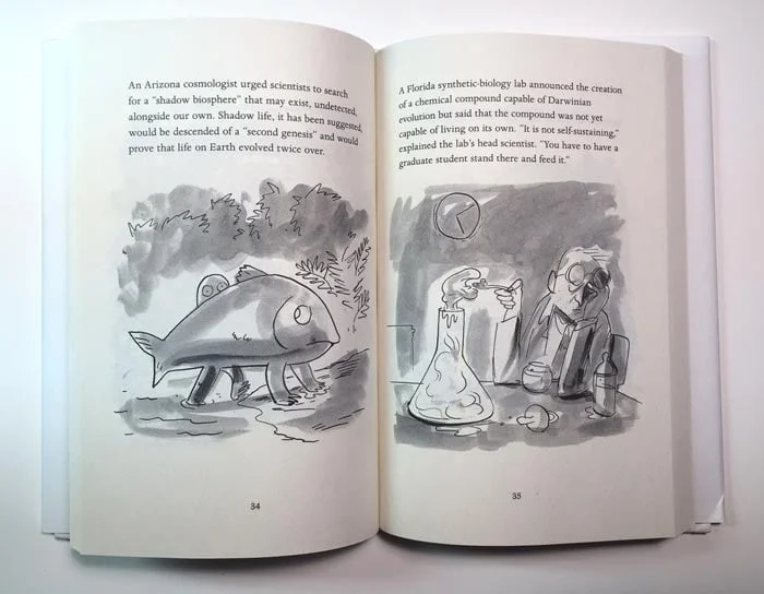 Findings, Interior Pages