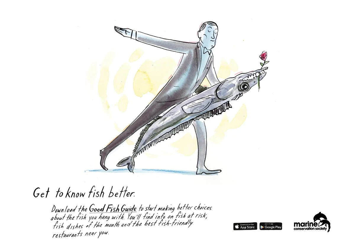 Get to Know Fish Better - the Marine Conservation Society