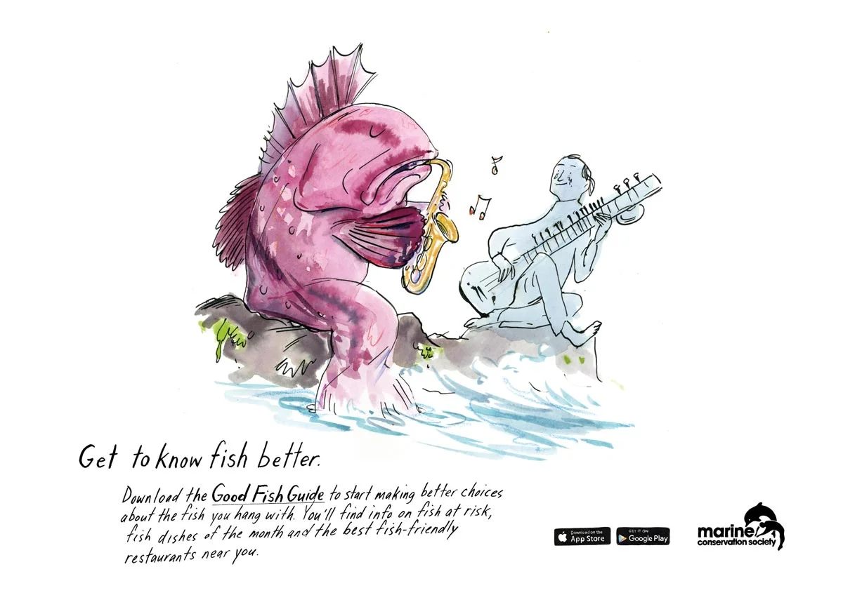Get to Know Fish Better - the Marine Conservation Society