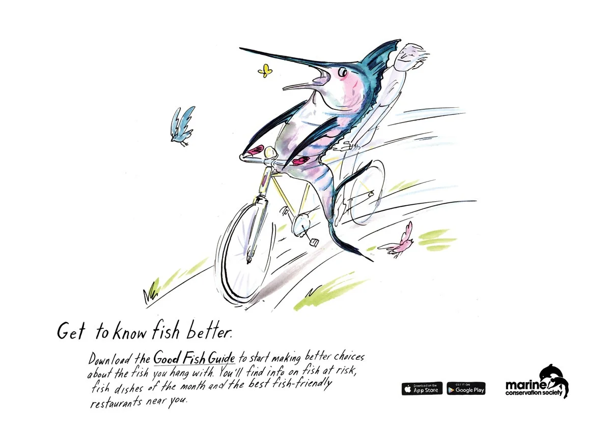 Get to Know Fish Better - the Marine Conservation Society