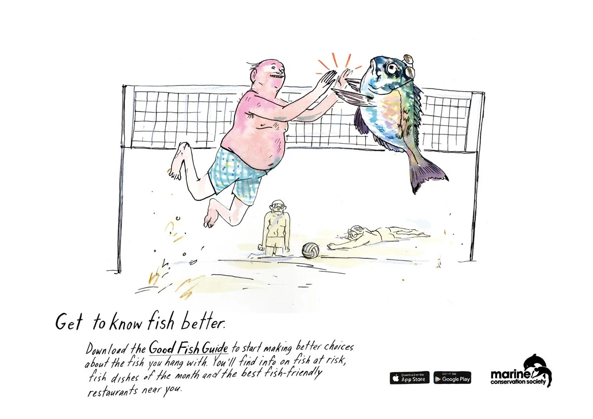 Get to Know Fish Better - the Marine Conservation Society