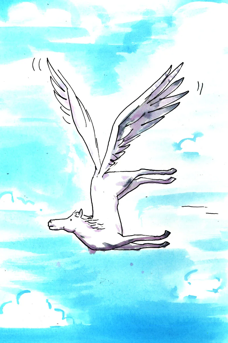 Poorly Designed Pegasus - Unpublished