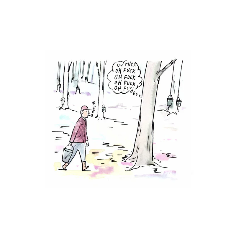 Maple Syrup Season - Unpublished
