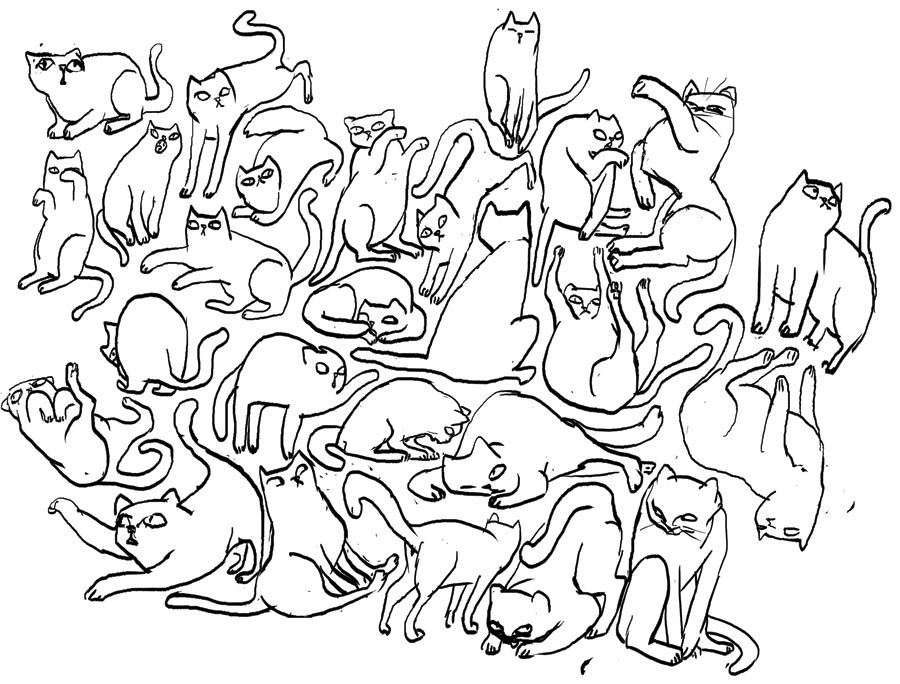 Cats Cats Cats