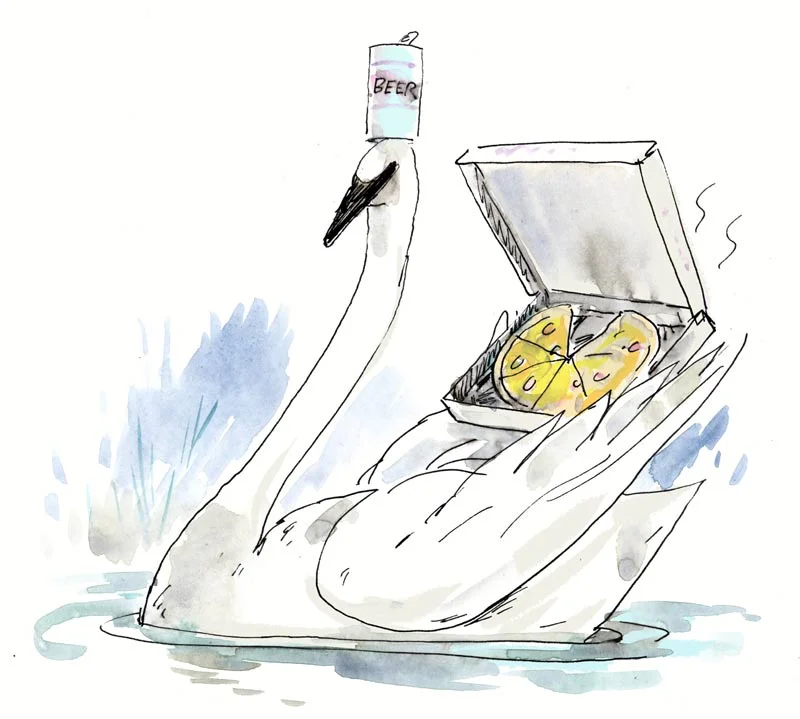 Pizza Swan