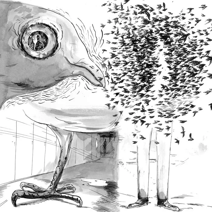 Silence of the Pigeons - Feathertale