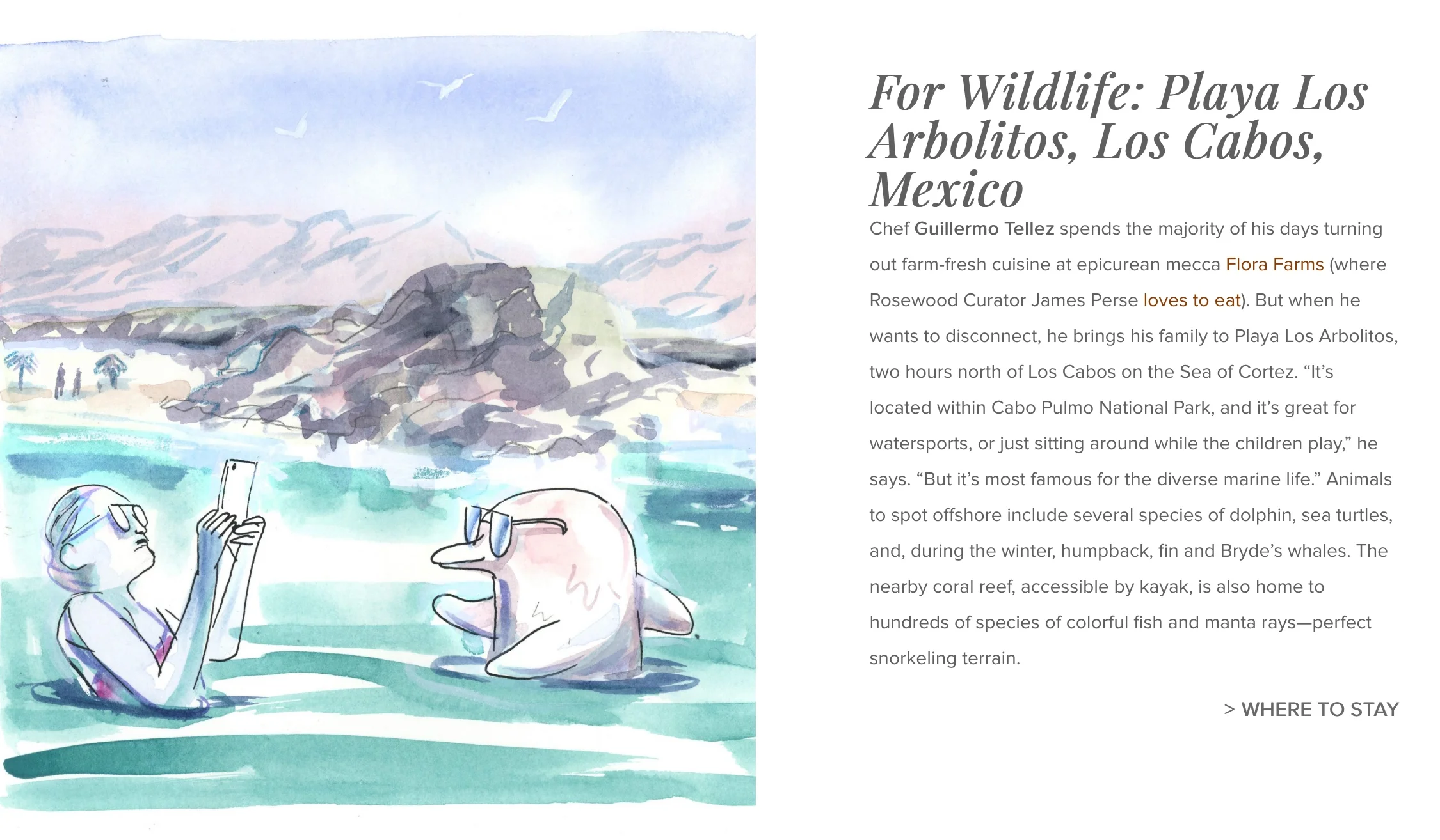 Beaches - Rosewood Hotels/Spherical