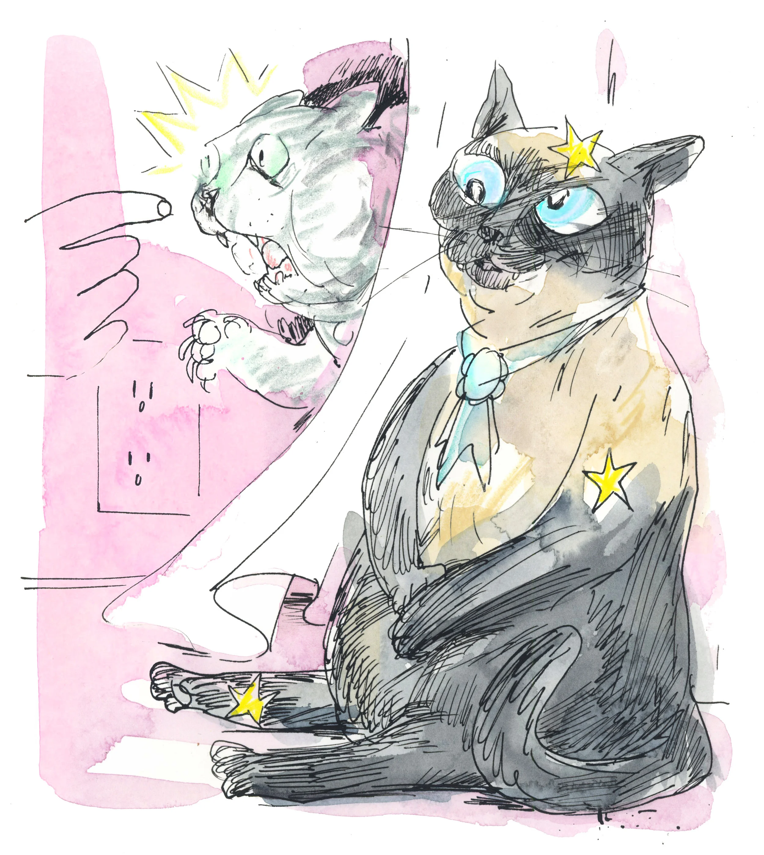 Cat Personalities - Reader's Digest