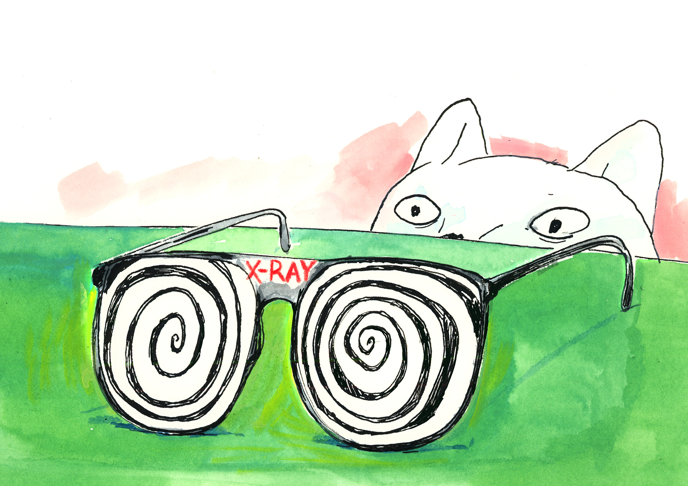 Untitled - Personal Work