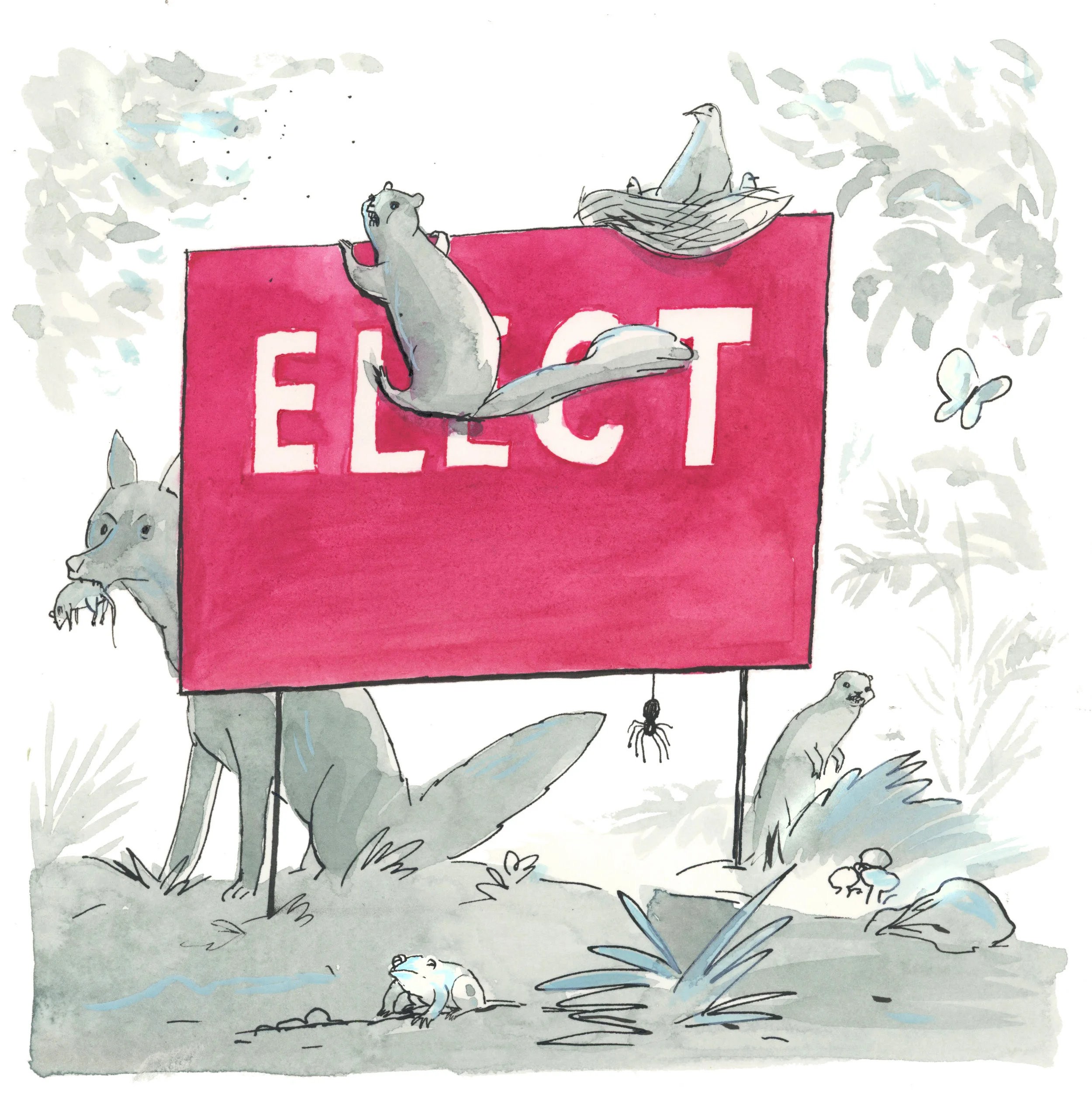 Democratic Ecosystems - The Walrus