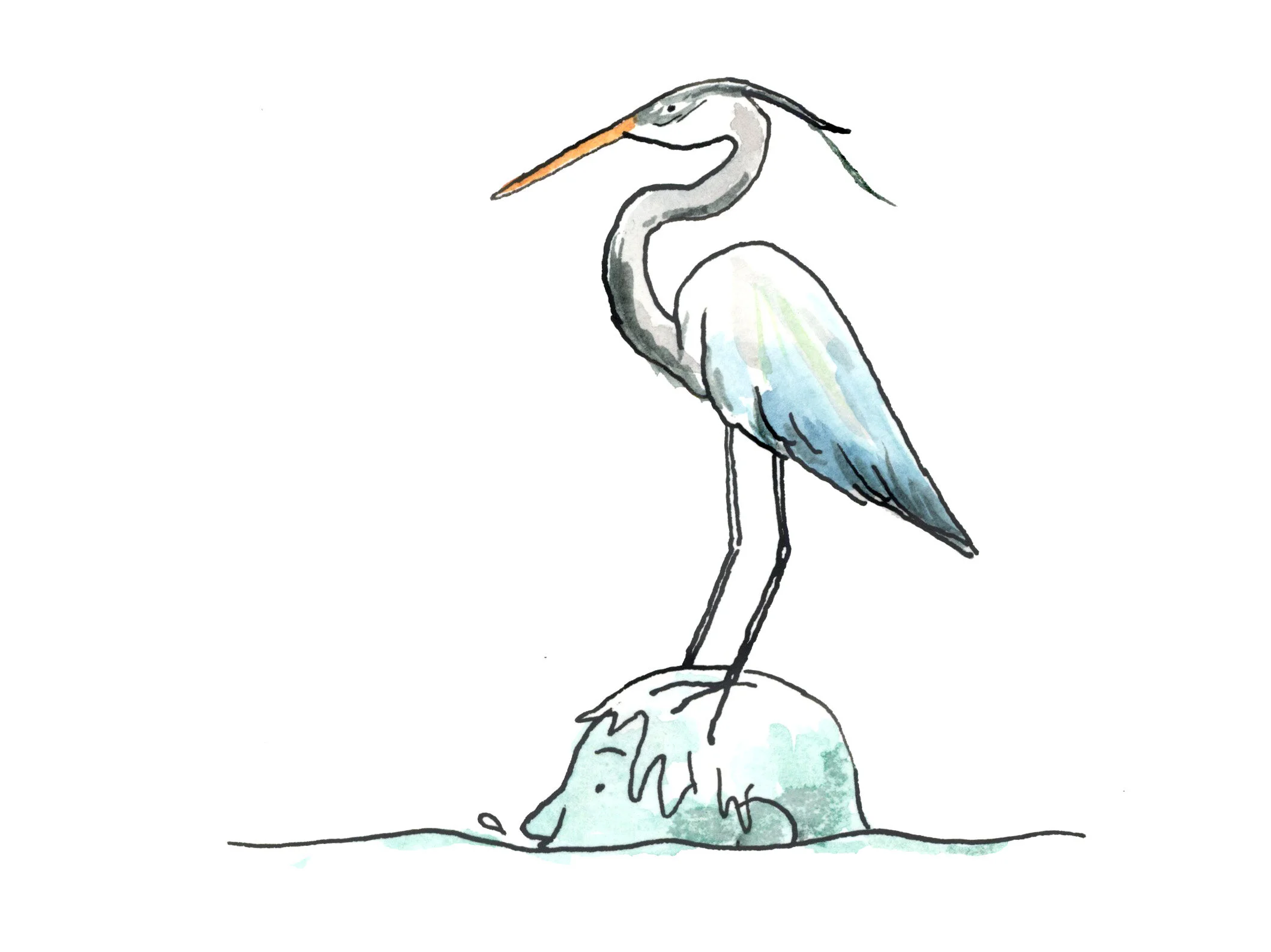 Swimming - Cottage Life