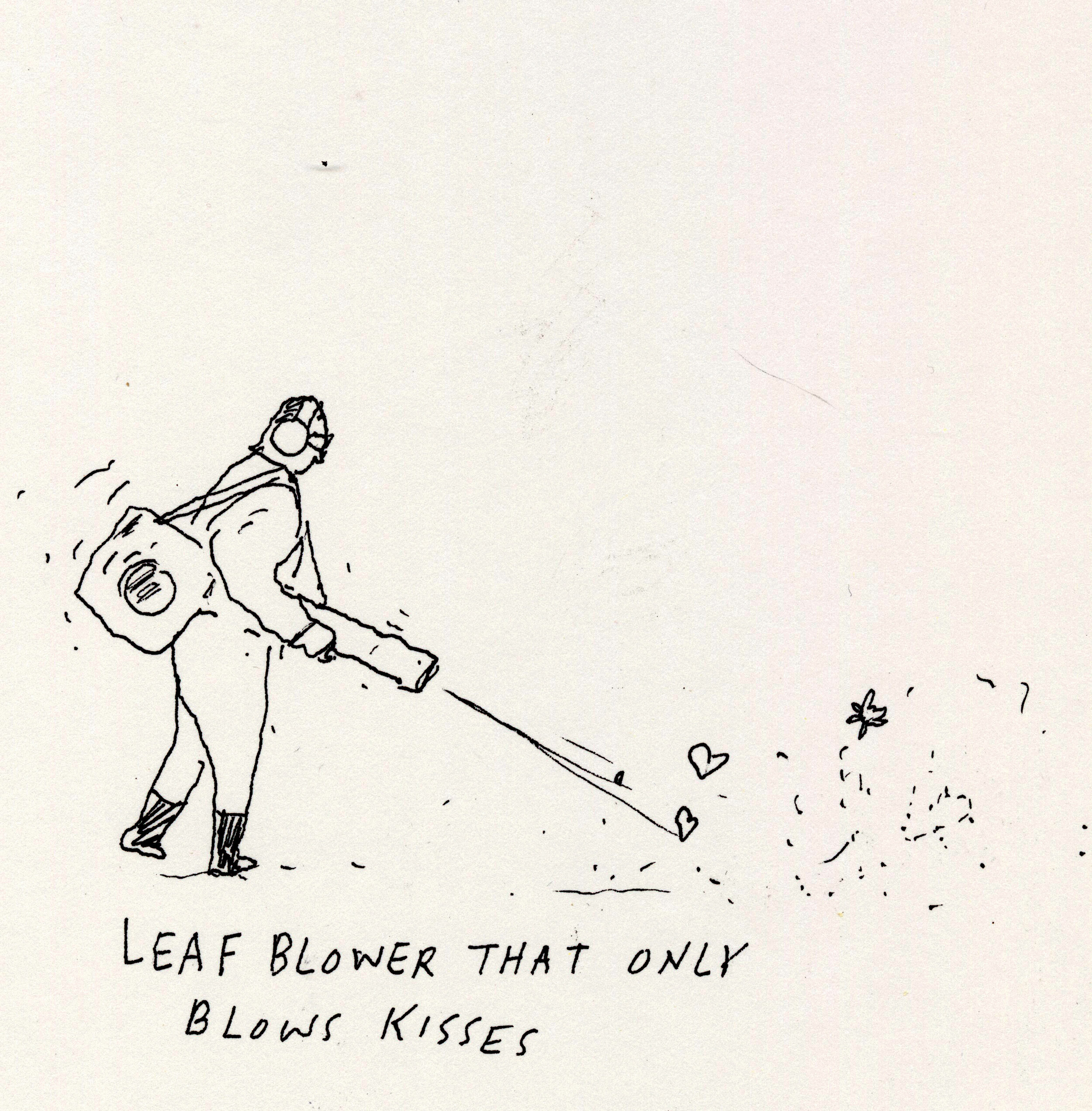 kisses leaf blower 600.jpg