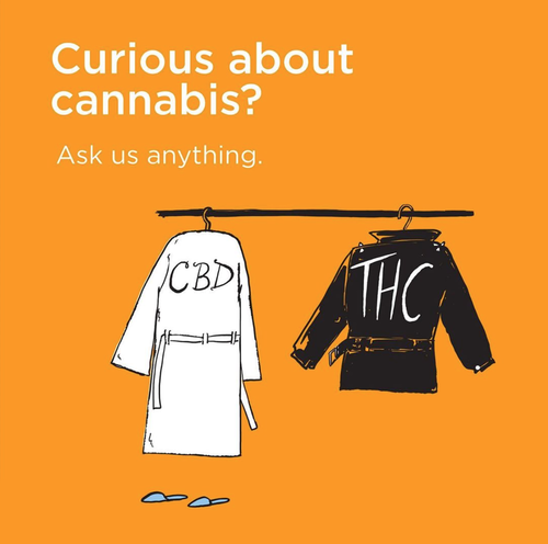 Sunnyside Brand Illustration - Cresco Labs/Quake Creative