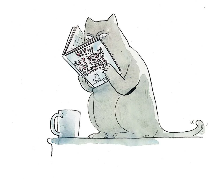 Creating Reader Interest - The Walrus