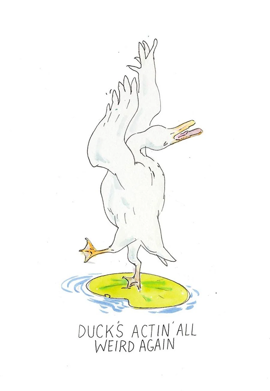 Duck Relapse - Unpublished