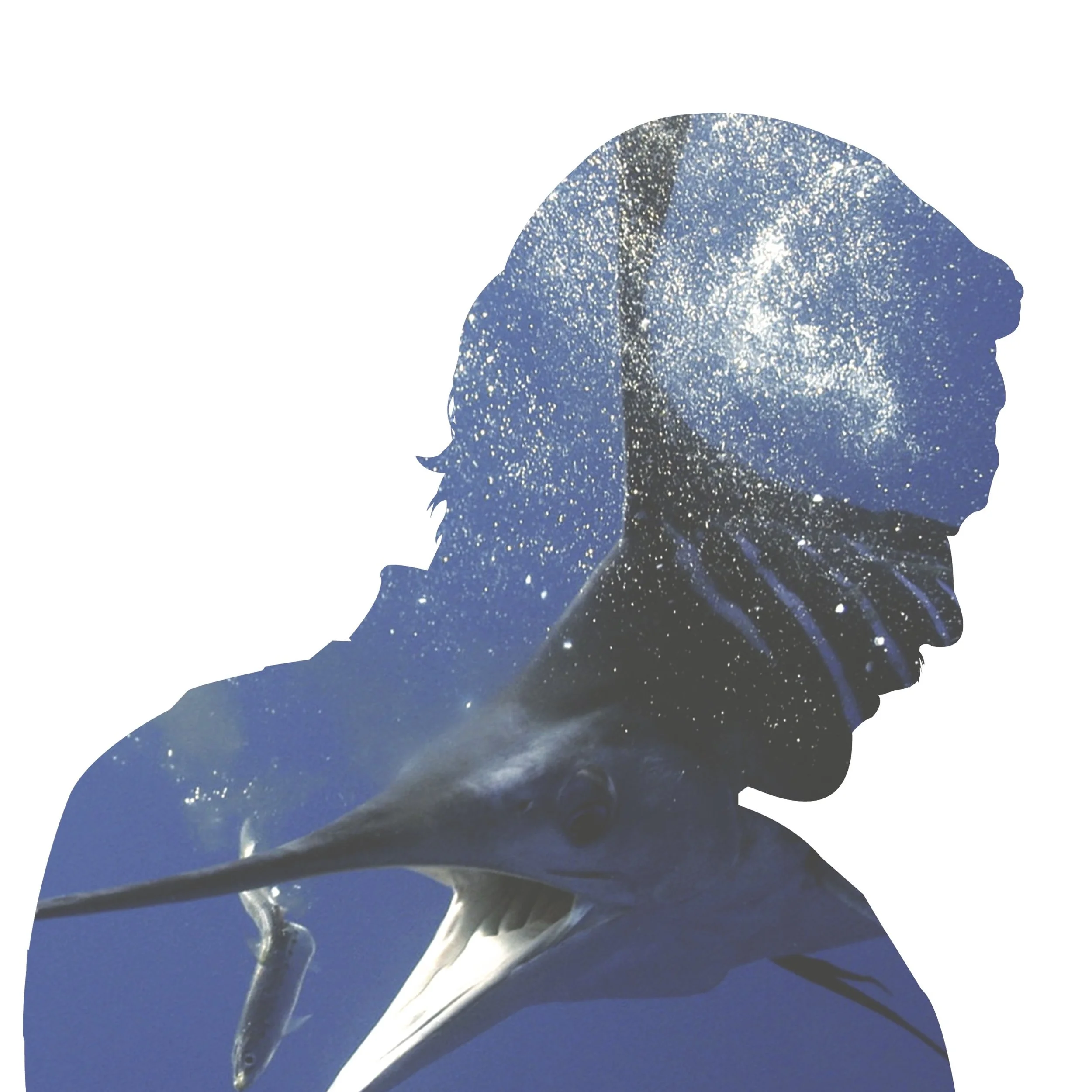 Hemingway Graphic 3.jpg